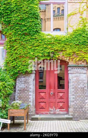 Historic house entrance in Hamburg. The red front door is framed by dark clinker columns. The facade of light-yellow clinker is overgrown with wild Stock Photo