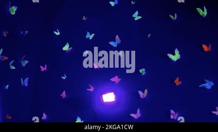 Lots of colorful paper butterflies on a blue background. Flight of bright butterflies to the source of light. Blue abstract texture background. Stock Photo