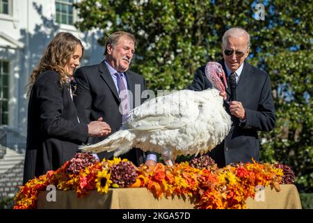 Washington, United States. 21st Nov, 2022. U.S. President Joe Biden, officially pardons a turkey named Chocolate, during the traditional Thanksgiving Turkey Pardon on the South Lawn of the White House, November 21, 2022 in Washington, DC Joining the president from left are: Alexa Starnes, daughter of the Circle S Ranch where the turkey was raised and Ronald Parker, Chairman of the National Turkey Federation. Credit: Adam Schultz/White House Photo/Alamy Live News Stock Photo