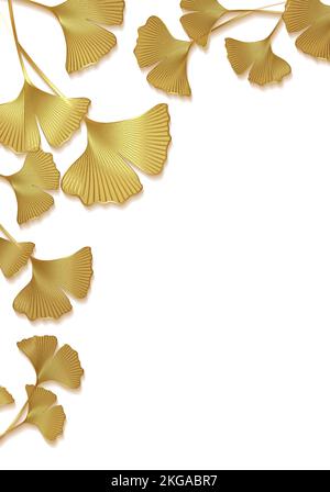 Gold frame of Ginkgo biloba leaves isolated on white background. Golden luxury border of floral leaves. Vector illustration botanical design template, Stock Vector