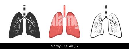 Realistic Lung anatomy. Lung icon set. Respiratory system healthy lung flat medical organ. Isolated vector illustration. Stock Vector