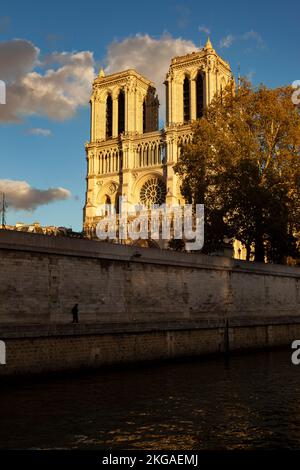 Cathedral Notre Dame of Paris Stock Photo