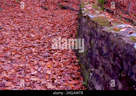 Tyler State Park in fall Stock Photo