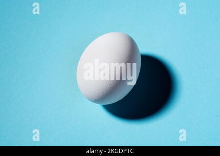 white chicken egg on blue background with hard shadow Stock Photo