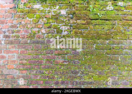 Texture of a wall made of old bricks Stock Photo