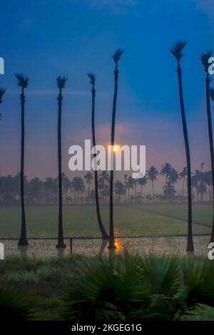 A beautiful Sunrise behind the palm trees in a scenic beauty and landscape Stock Photo