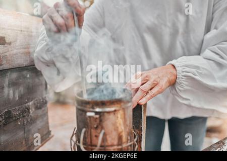 Hands, smoker fire and beekeeper on farm mix and refueling with tool. Safety, beekeeping and worker in suit preparing smoking pot or equipment to calm Stock Photo