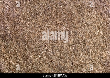 texture of  felt Stock Photo