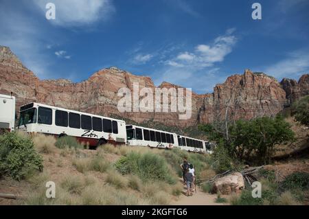 The hikers waling in the Zion, Springdale National Park shuttle service towards mount Carmel Hwy Stock Photo