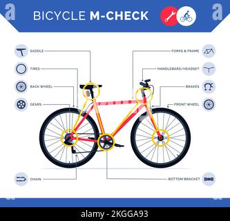 Bicycle m-check infographic with bike parts icons, how to do a pre-ride check and ride safely Stock Vector
