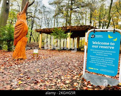 Adel Dam Nature Reserve, a Yorkshire Wildlife Trust reserve in Leeds Stock Photo