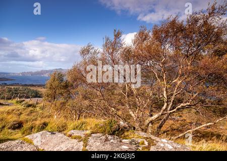 Little Loch Torridon in the highlands of northwest Scotland Stock Photo