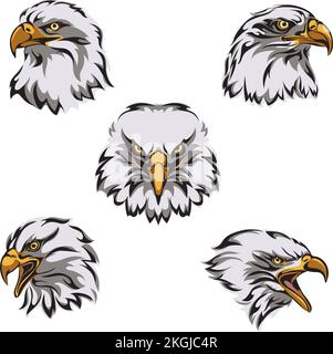 eagle, color, logo, soaring eagle, bird, portrait, vector, image, isolated, sign for companies, sports team Stock Vector