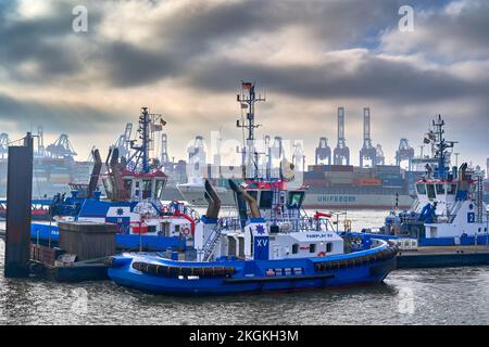 Hamburg, Germany, November 11, 2022: Blue tugboats anchored at the quay in the port of Hamburg with the cranes of the container terminal in the backgr Stock Photo