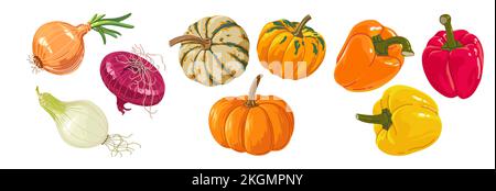 Colorful set of autumn vegetables in cartoon style for print and design. Vector illustration. Stock Vector