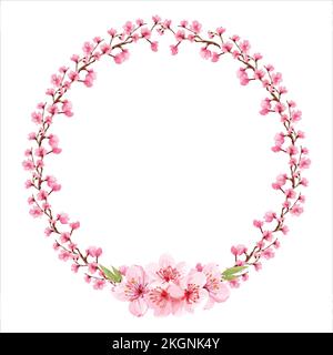 cherry blossom from blossoming apple-tree isolated on white background. Flowering cherry branches, apricots. Wedding frame. Sakura. Illustration. Wate Stock Vector