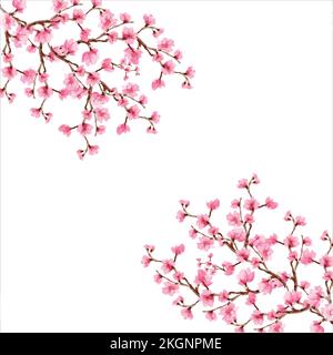 Cherry blossom, Sakura pink flowers background, Cherry blossom Spring flowers background, Background cherry blossom spring flower Japan Stock Vector