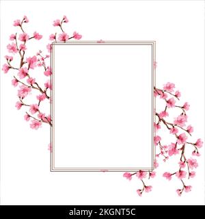 cherry blossom Beautiful watercolours decorated frame, Frame with blooming cherry. Sakura. Watercolour. Spring blooming branches on white background Stock Vector