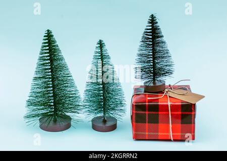 Christmas trees with red gift box against blue background Stock Photo