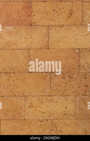 limestone wall texture with seashells. textured background Stock Photo