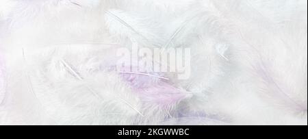 White, fluffy feathers. Background of delicate bird feathers. Stock Photo