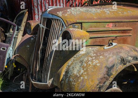 Anold rusty 1930s Chevrolet truck, complete with lichen and cobwebs in a scrapyard Stock Photo