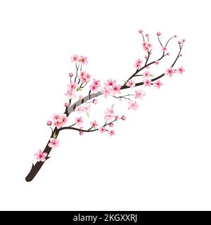 Watercolor cherry bud. Cherry blossom tree branch with sakura flower. Watercolor cherry blossom. Cherry blossom flower blooming vector. Pink sakura fl Stock Vector