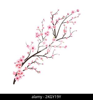 Cherry blossom branch with pink Sakura flower vector. Realistic Cherry blossom branch. Japanese Cherry blossom vector. Pink watercolor cherry flower i Stock Vector