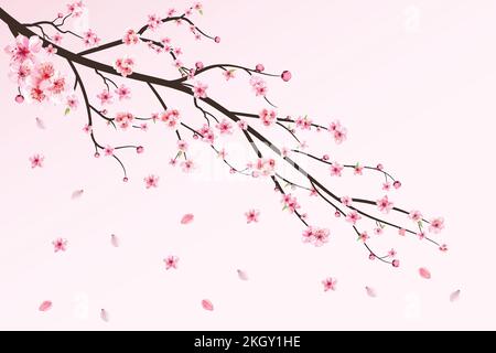 A branch of sakura with falling petals. Vector illustration Stock ...
