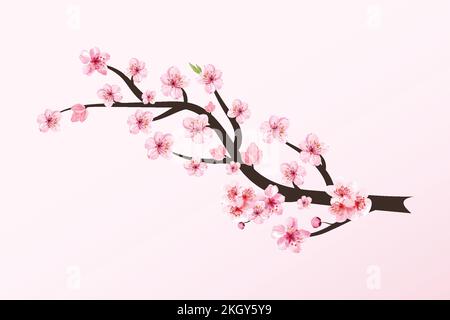Cherry blossom branch with Sakura flower vector. Sakura flower branch illustration. Cherry branch with pink sakura. Realistic watercolor cherry flower Stock Vector
