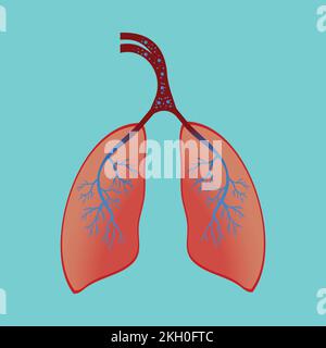 lungs pumping oxygen and carbon dioxide. Human anatomy concept with lungs breathing in and out vector. Lungs with so many blood and air vessels and bl Stock Vector