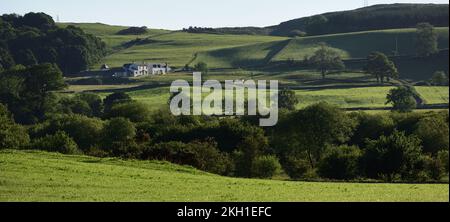 white Farm house in the rolling Scottish Countryside in Galloway Scotland with trees ,fields and rolling hills in the distance and early morning summe Stock Photo