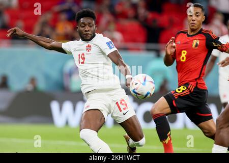 Canadian Alphonso Davies and Belgium's Youri Tielemans pictured in action during a soccer game between Belgium's national team the Red Devils and Canada, in Group F of the FIFA 2022 World Cup in Al Rayyan, State of Qatar on Wednesday 23 November 2022. BELGA PHOTO BRUNO FAHY Stock Photo