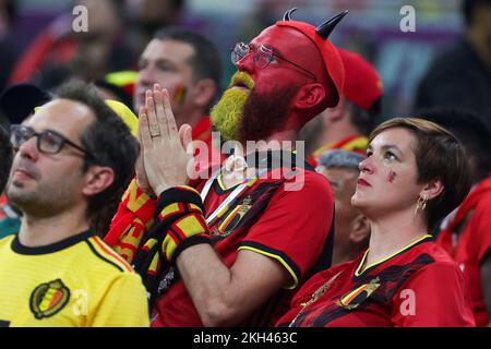 Al Rayyan, Qatar. 23rd Nov, 2022. Belgian supporters pictured in the stands at a soccer game between Belgium's national team the Red Devils and Canada, in Group F of the FIFA 2022 World Cup in Al Rayyan, State of Qatar on Wednesday 23 November 2022. BELGA PHOTO VIRGINIE LEFOUR Credit: Belga News Agency/Alamy Live News Stock Photo