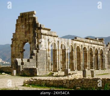 Ruins of the Basilica of Volubilis - a partly excavated Berber-Roman city in Morocco near Meknes, considered the ancient capital of Mauretania Stock Photo