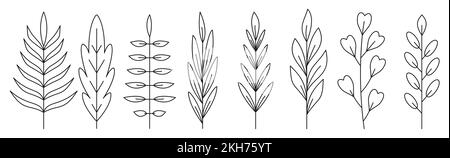 Branch leaf black line icon set. Outline forest plant herbal deciduous tree foliage. Coloring book page floral spring sprout. Linear organic leaves of tropical palm tree, rowan, maple, eucalyptus Stock Vector