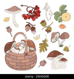 FOREST GOODS Autumn Fall Season Nature Clip Art Vector Illustration Set For Print Stock Vector