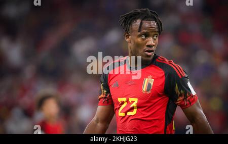 Belgium's Michy Batshuayi pictured during a soccer game between Belgium's national team the Red Devils and Canada, in Group F of the FIFA 2022 World Cup in Al Rayyan, State of Qatar on Wednesday 23 November 2022. BELGA PHOTO VIRGINIE LEFOUR Stock Photo