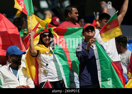 Al Wakra, Qatar. November 24th, 2022, Khalifa International Stadium, Doha, QAT, World Cup FIFA 2022, Group G, Switzerland vs Cameroon, in the picture Cameroonian fans in the stands. Credit: dpa picture alliance/Alamy Live News Stock Photo