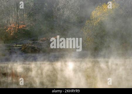 Autumn in Fair Oak valley showing one of the three major forest pools with trees in morning mist displaying their beautiful autumnal hues and tints on Stock Photo