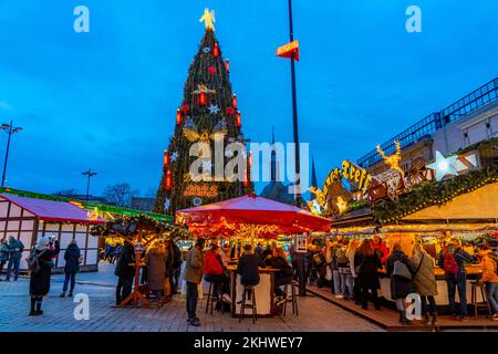 Christmas market in Dortmund, Hansaplatz, the market with the biggest Christmas tree in the world, NRW, Germany, Stock Photo