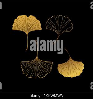 Illustration of a ginkgo leaf. Stock Vector