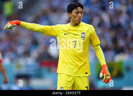 South Korea goalkeeper Kim Seung-gyu during the FIFA World Cup Group H match at the Education City Stadium, Doha, Qatar. Picture date: Thursday November 24, 2022. Stock Photo