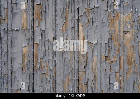 Closeup view of the texture of an old weathered wooden door with grey peeling paint Stock Photo