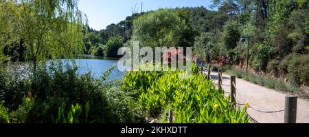 The Ataturk Kent Ormani Park in Istanbul, Turkey Stock Photo