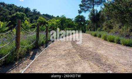 The Ataturk Kent Ormani Park in Istanbul, Turkey Stock Photo