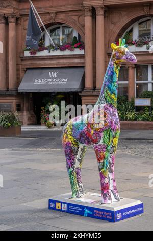 A colourful 8-feet-tall model giraffe outside The Caledonian Hotel in Edinburgh's West End as part of Edinburgh Zoo's Giraffe About Town event Stock Photo