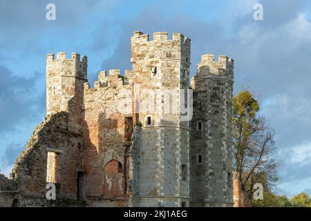 The Cowdray House Ruins in Cowdray Park, Midhurst, West Sussex, England, UK, during November Stock Photo