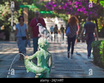 The Botanical Garden in the Old Town of Cadiz Stock Photo