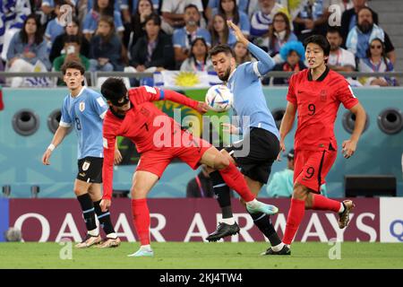 Son Heung-Min of South Korea, Rodrigo Bentancur of Uruguay, Cho Gue-Sung of South Korea during the FIFA World Cup 2022, Group H football match between Uruguay and Korea Republic on November 24, 2022 at Education City Stadium in Doha, Qatar - Photo: Jean Catuffe/DPPI/LiveMedia Stock Photo